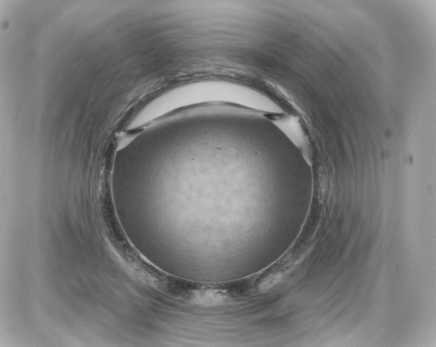 X0000087590451200705112307