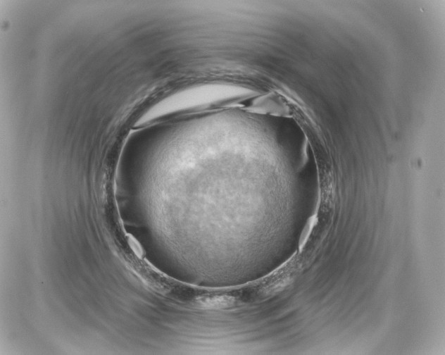 X0000087590452200705112307