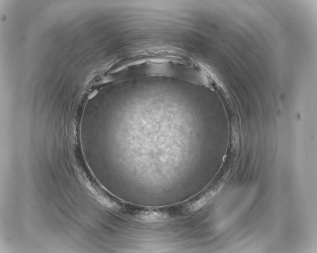 X0000087590453200705112307