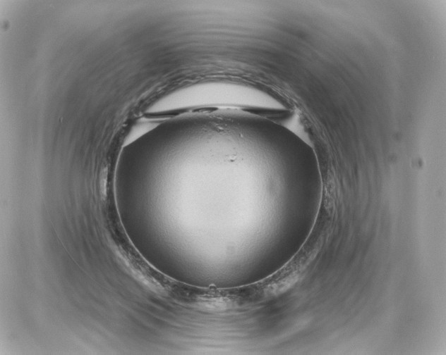 X0000087590454200705112307