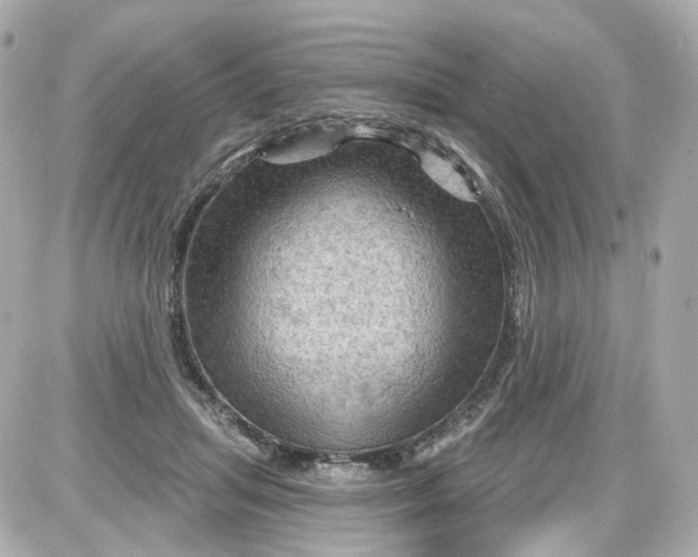 X0000087590455200705112307