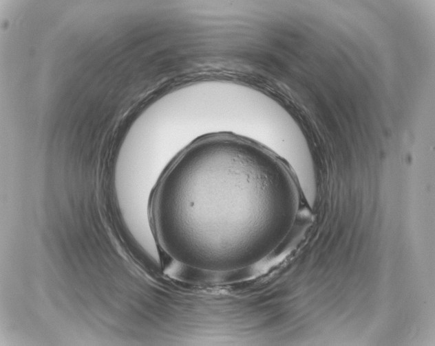 X0000087590456200705112307