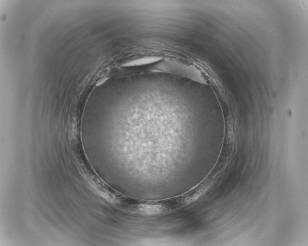 X0000087590457200705112307