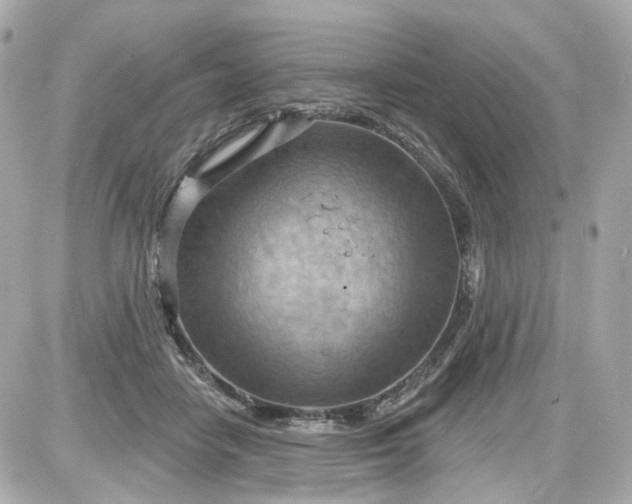 X0000087590458200705112307