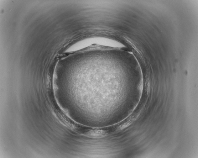 X0000087590459200705112307