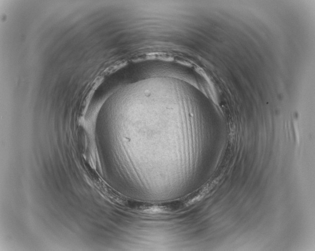 X0000087590460200705112307