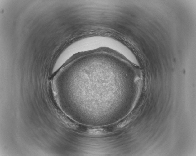 X0000087590461200705112307