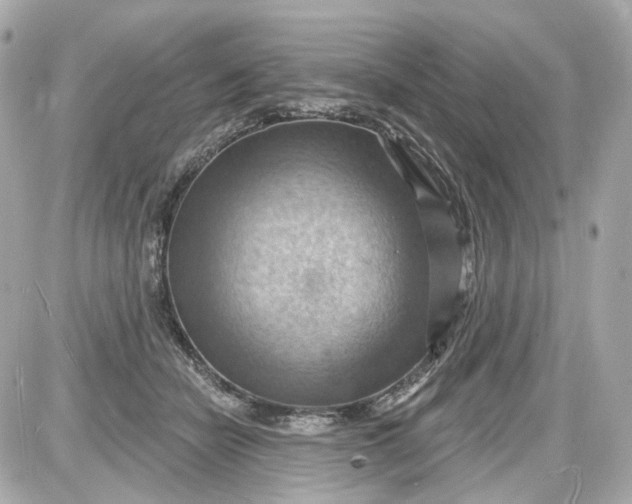 X0000087590462200705112307