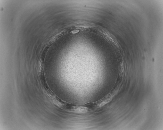 X0000087590463200705112307