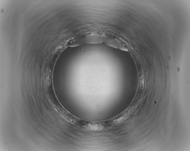 X0000087590464200705112307