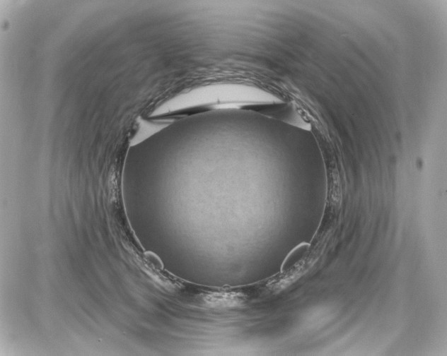 X0000087590465200705112307