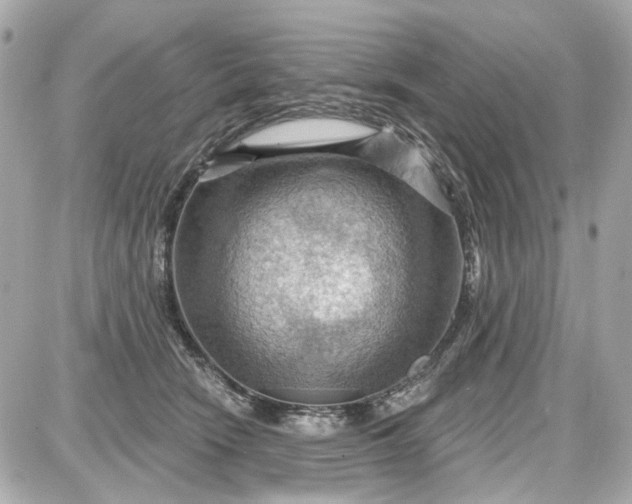 X0000087590466200705112307