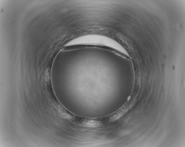 X0000087590467200705112307