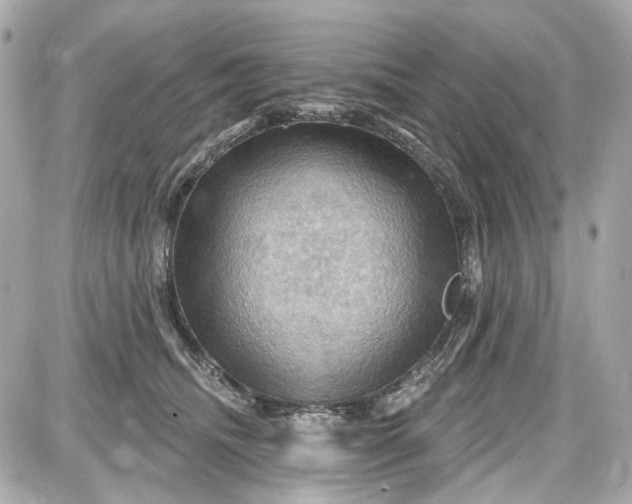 X0000087590468200705112307