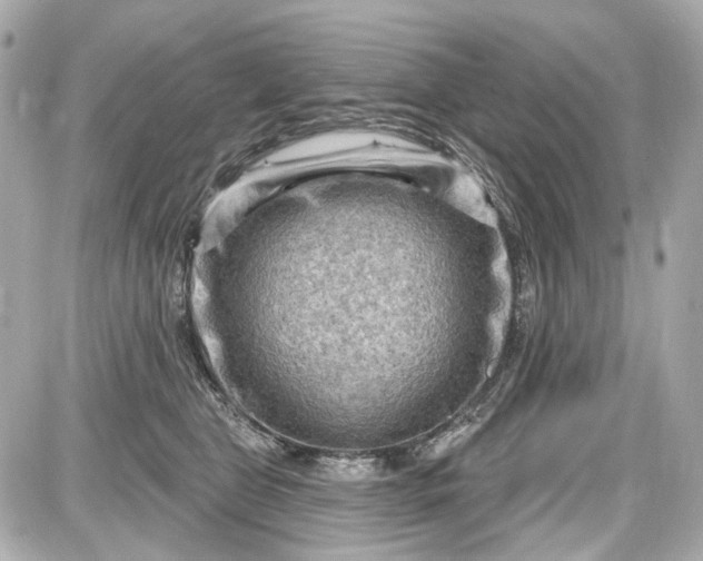 X0000087590469200705112307