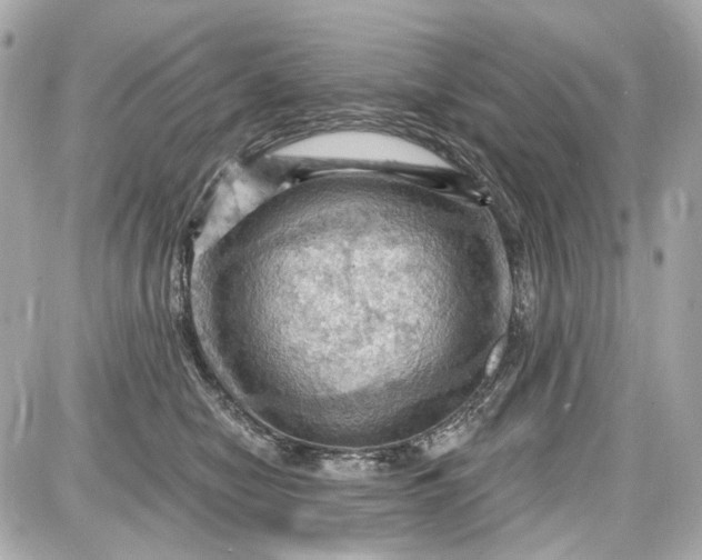 X0000087590470200705112307