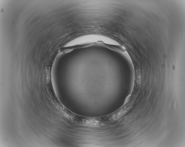 X0000087590471200705112308