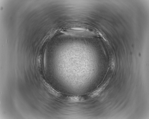 X0000087590473200705112308