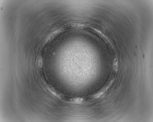 X0000087590474200705112308