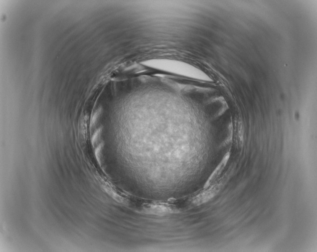 X0000087590475200705112308