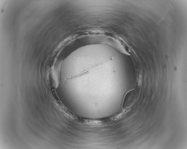 X0000087590476200705112308