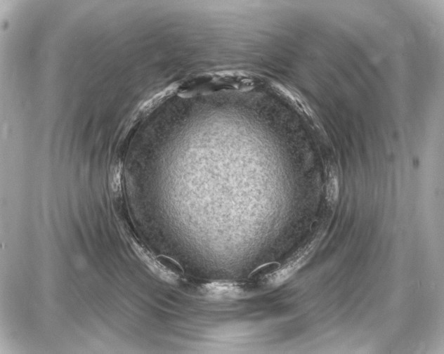 X0000087590477200705112308