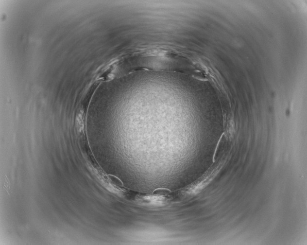 X0000087590478200705112308