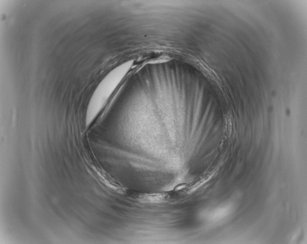 X0000087590479200705112308