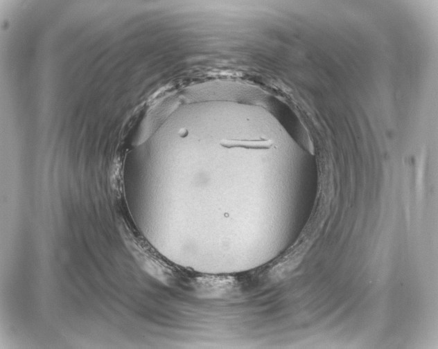 X0000087590480200705112308