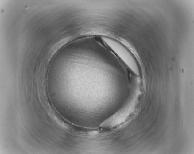 X0000087590481200705112307