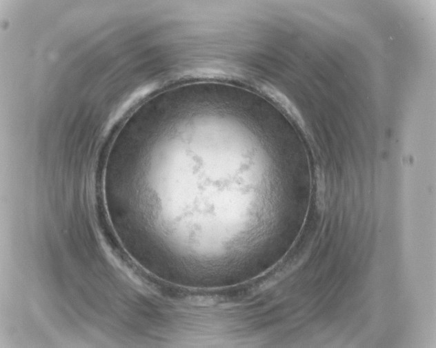 X0000087590482200705112307