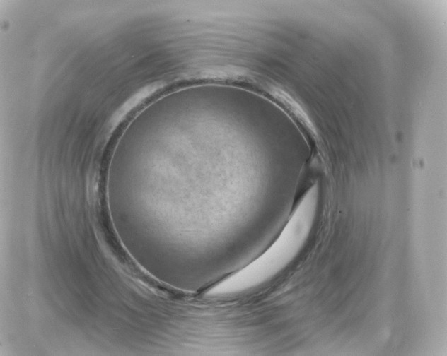 X0000087590483200705112307