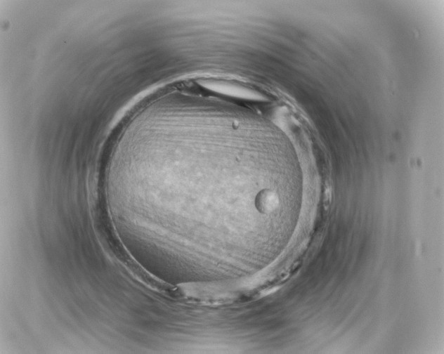 X0000087590484200705112307