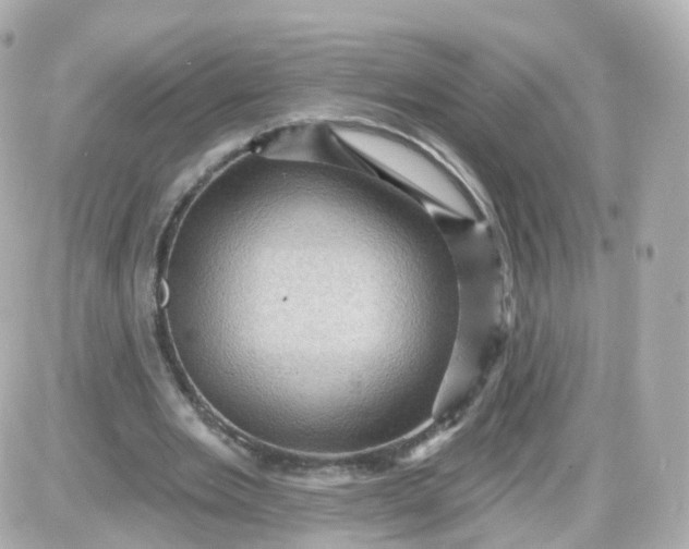 X0000087590485200705112307