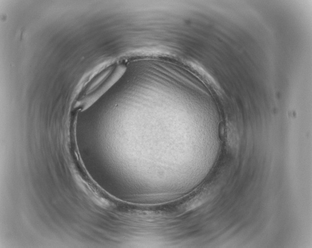 X0000087590486200705112307