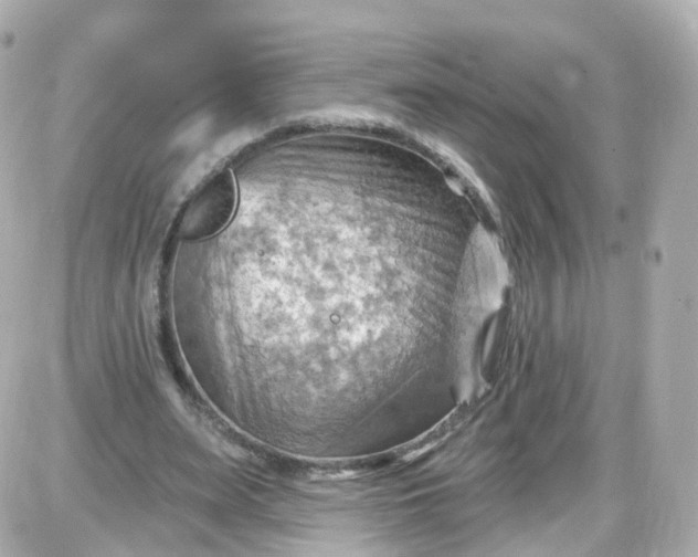 X0000087590487200705112307