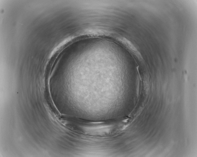 X0000087590488200705112307