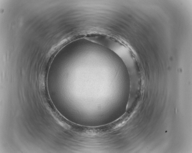 X0000087590489200705112307