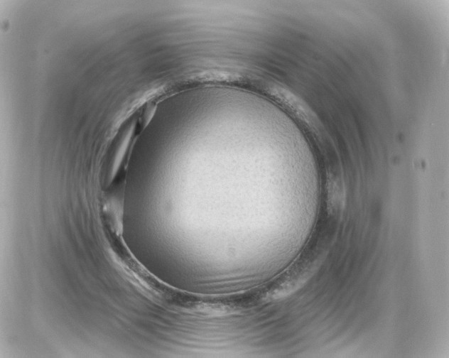 X0000087590490200705112307