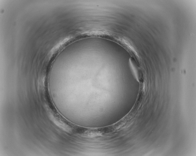 X0000087590491200705112307