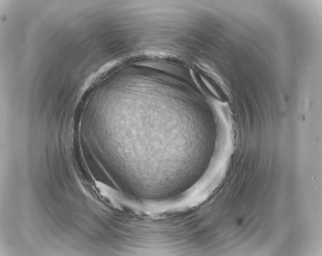 X0000087590492200705112307