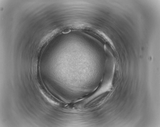 X0000087590493200705112307