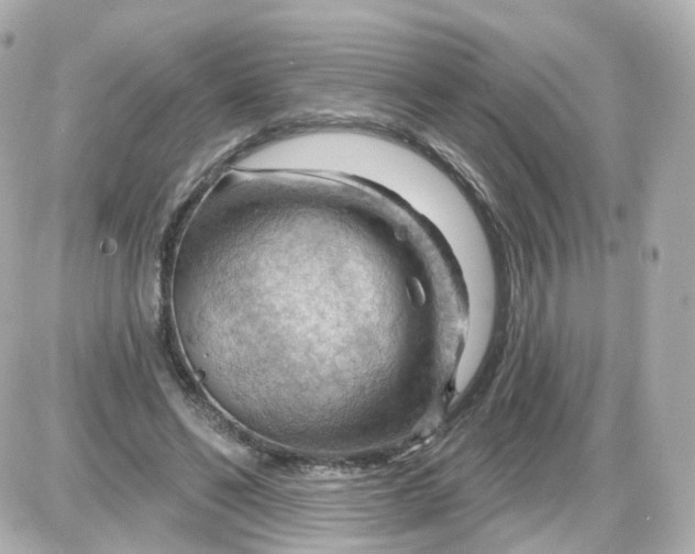 X0000087590494200705112307