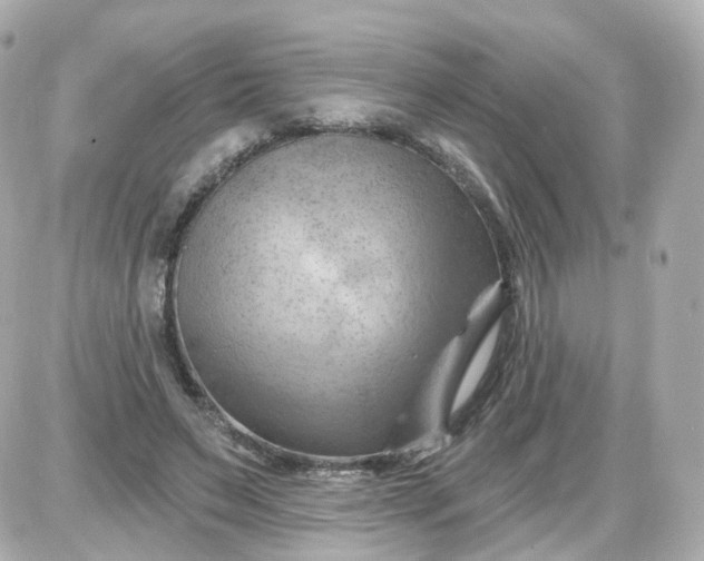 X0000087590495200705112307