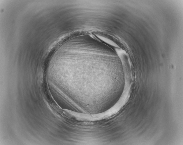 X0000087590496200705112307