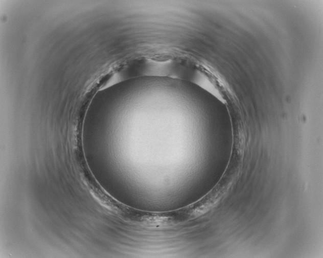 X0000087590497200705112307