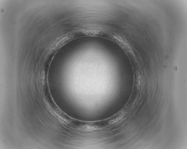 X0000087590498200705112307