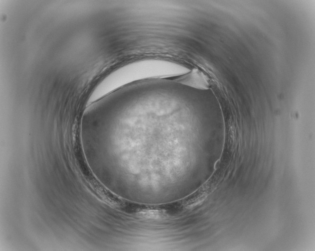 X0000087590499200705112307