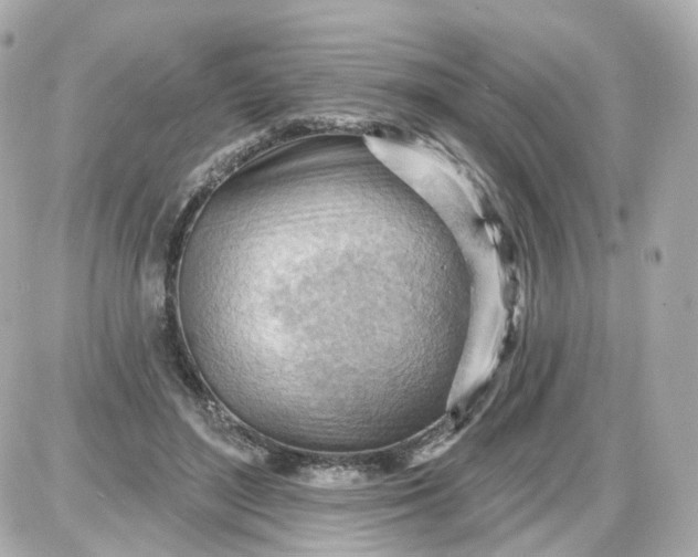 X0000087590500200705112307