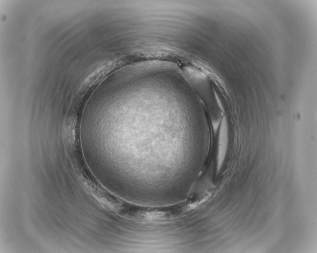 X0000087590501200705112307